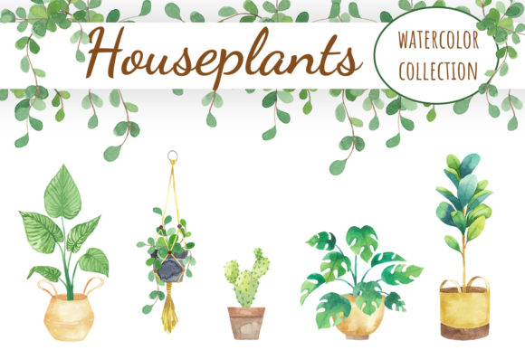 House Plants Watercolor Clipart